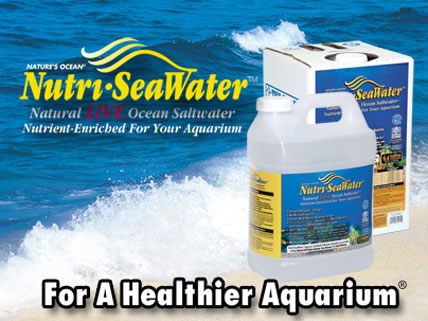 For Better Fish Water Quality Use Nutri-SeaWater&reg;