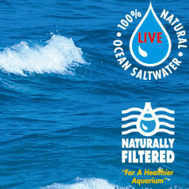 For Better Fish Water Quality Use Nutri-SeaWater&reg;