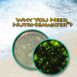 For Better Fish Water Quality Use Nutri-SeaWater&reg;